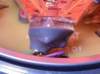 kearfottk600a37401_isap_rlg_block_mirrordetector1_small.jpg